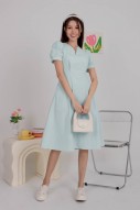 Massie Sleeved Midi Dress in Mint (MY)