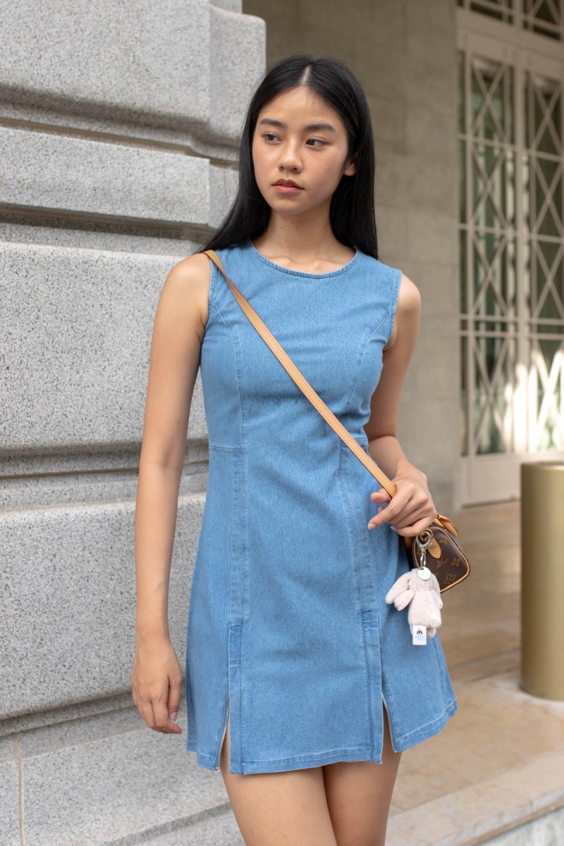 Holly Denim Dress in Light Denim