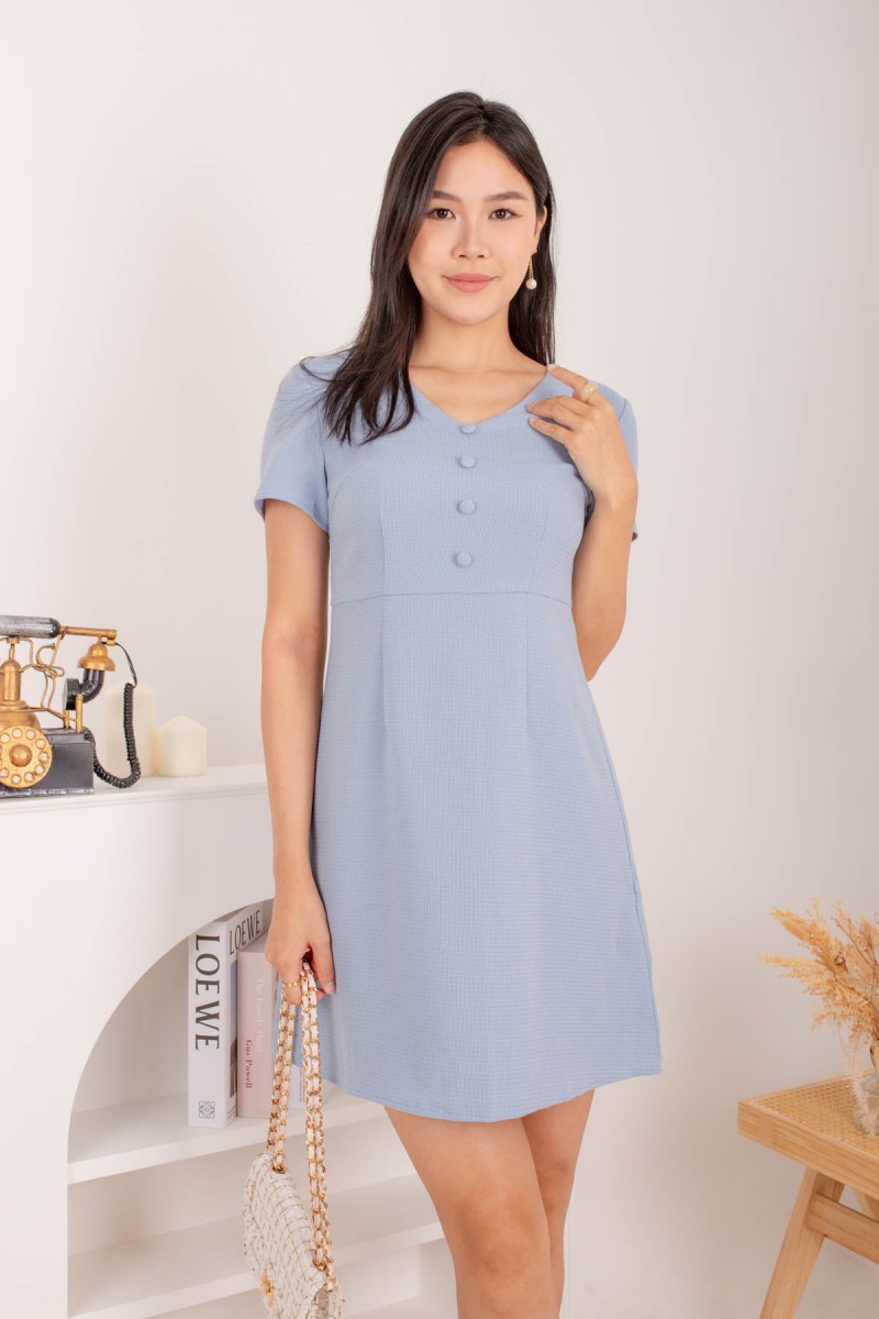 Baie Button Down Dress in Blue