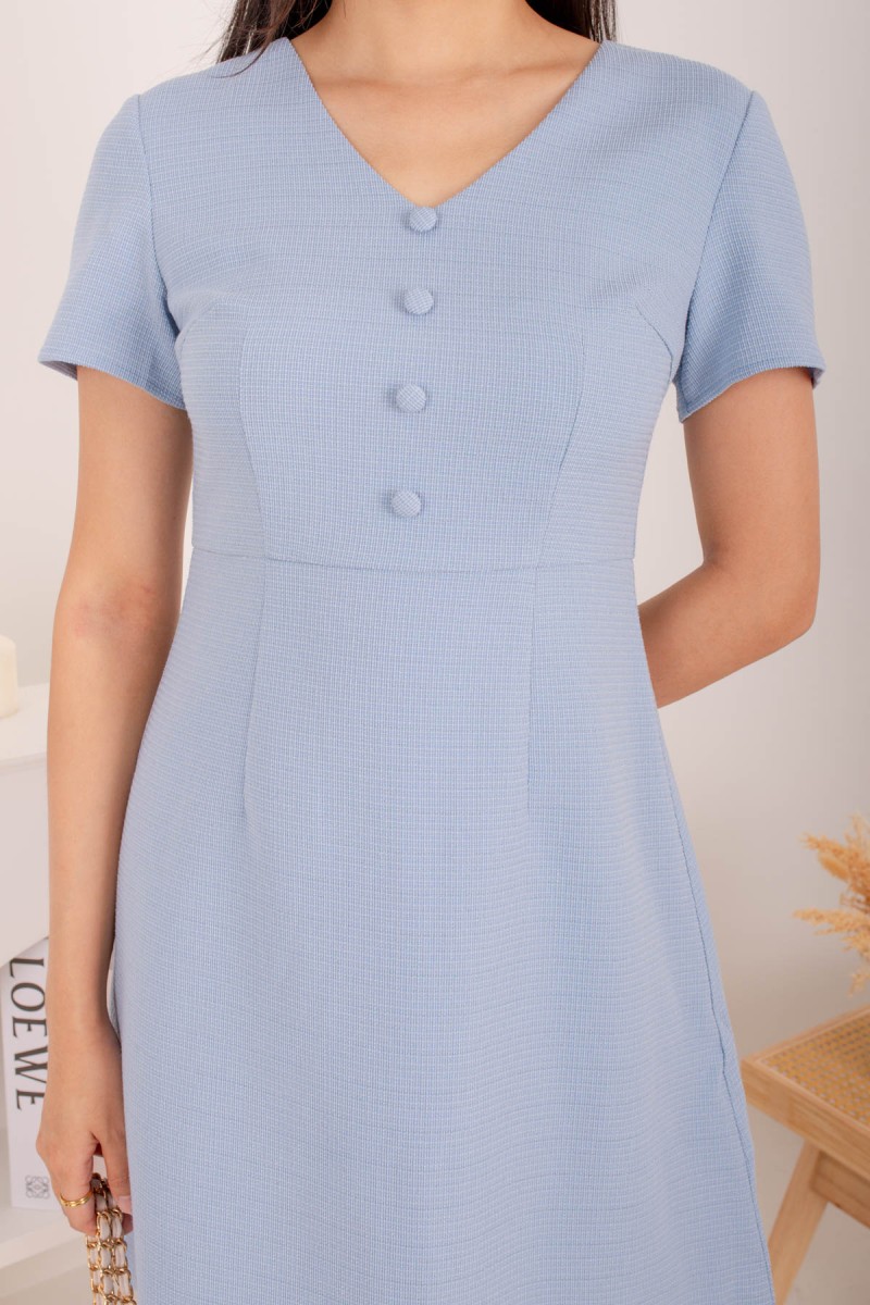 Baie Button Down Dress in Blue