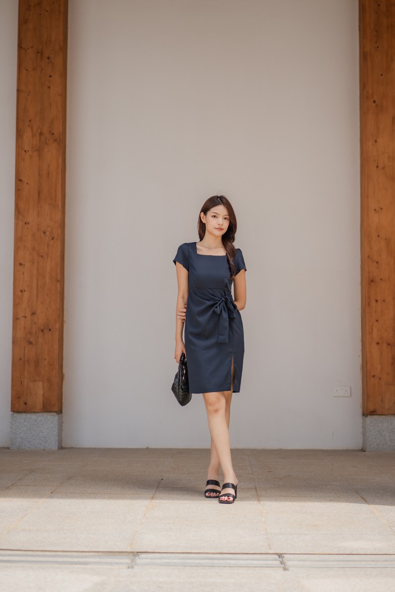 Dareia Work Dress in Navy