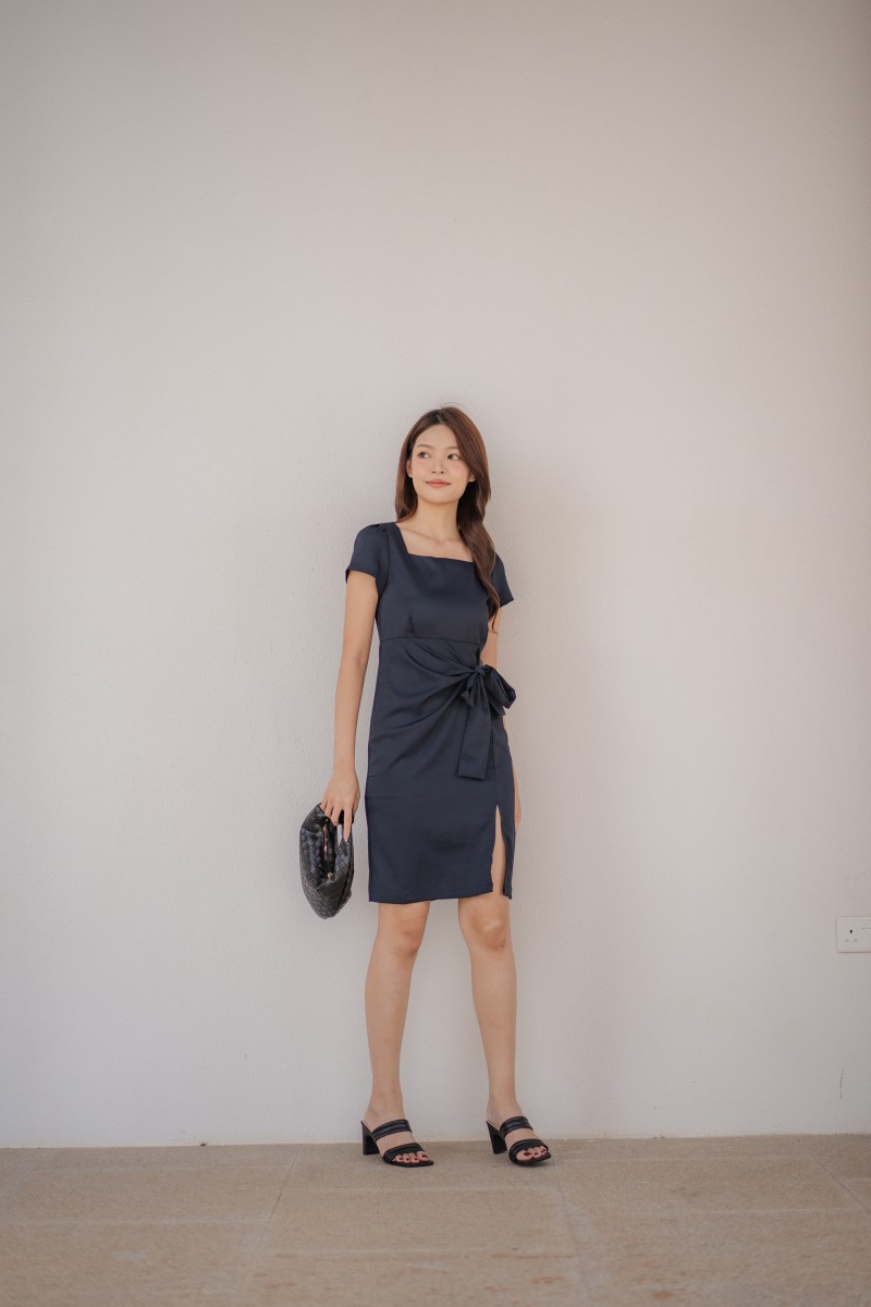 Dareia Work Dress in Navy