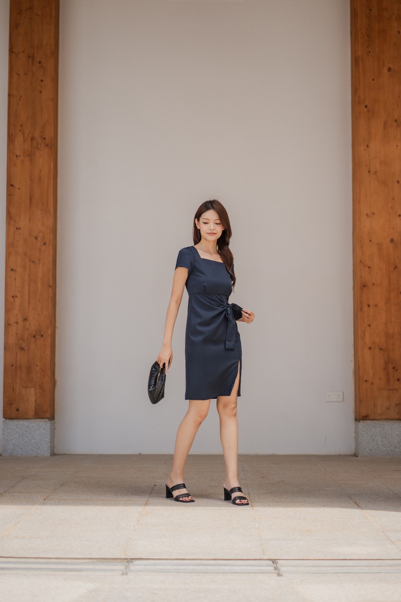 Dareia Work Dress in Navy