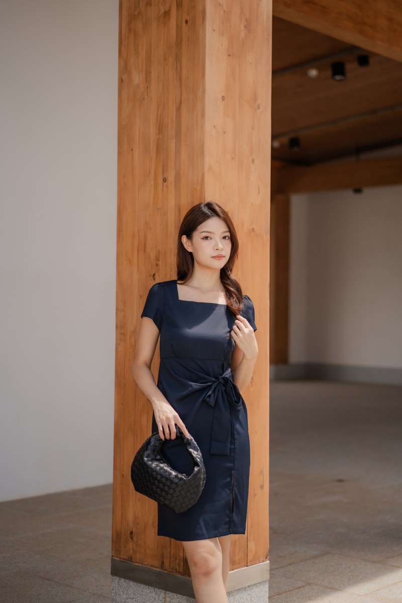 Dareia Work Dress in Navy