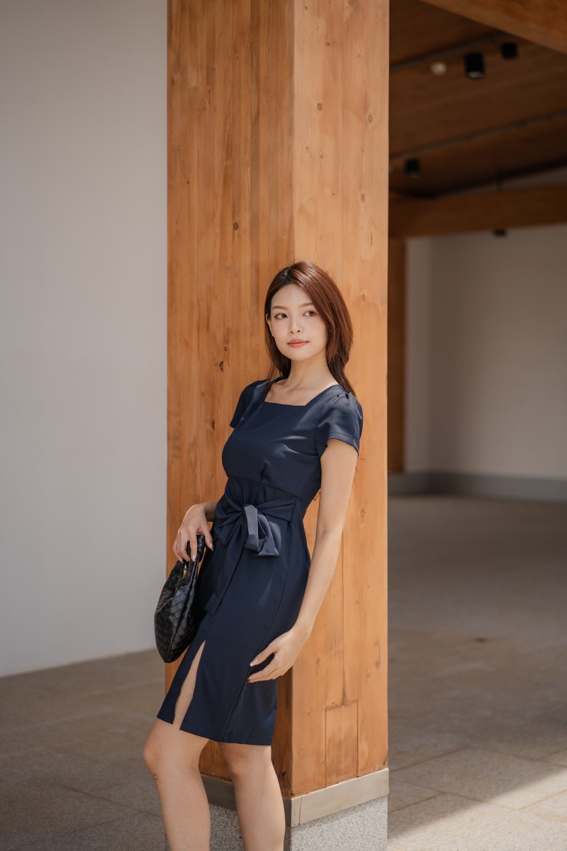 Dareia Work Dress in Navy