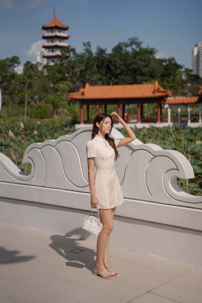 Tian Embossed Sleeved Cheongsam Dress in Champagne