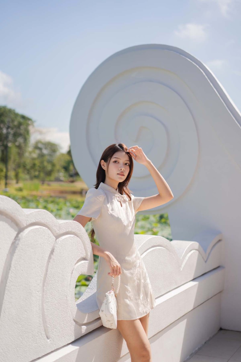 RESTOCK2: Tian Embossed Sleeved Cheongsam Dress in Champagne