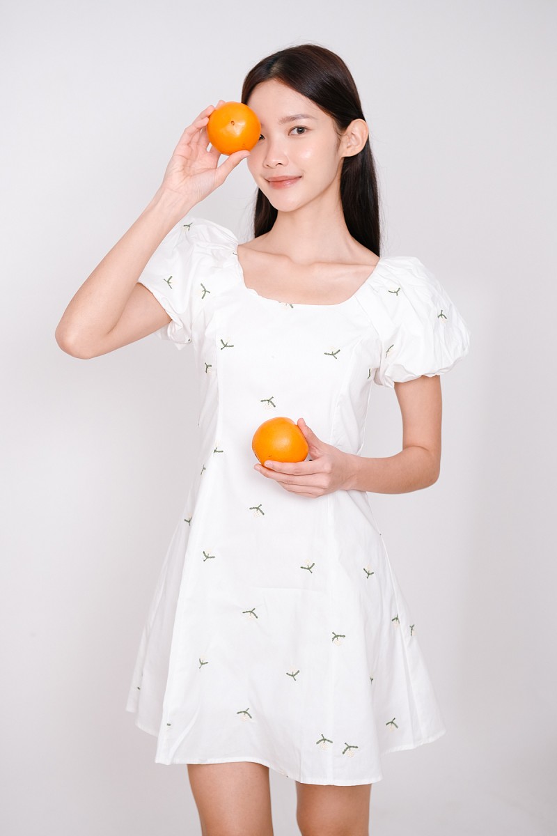 Daycee Floral Embroidered Puff Sleeve Dress in White