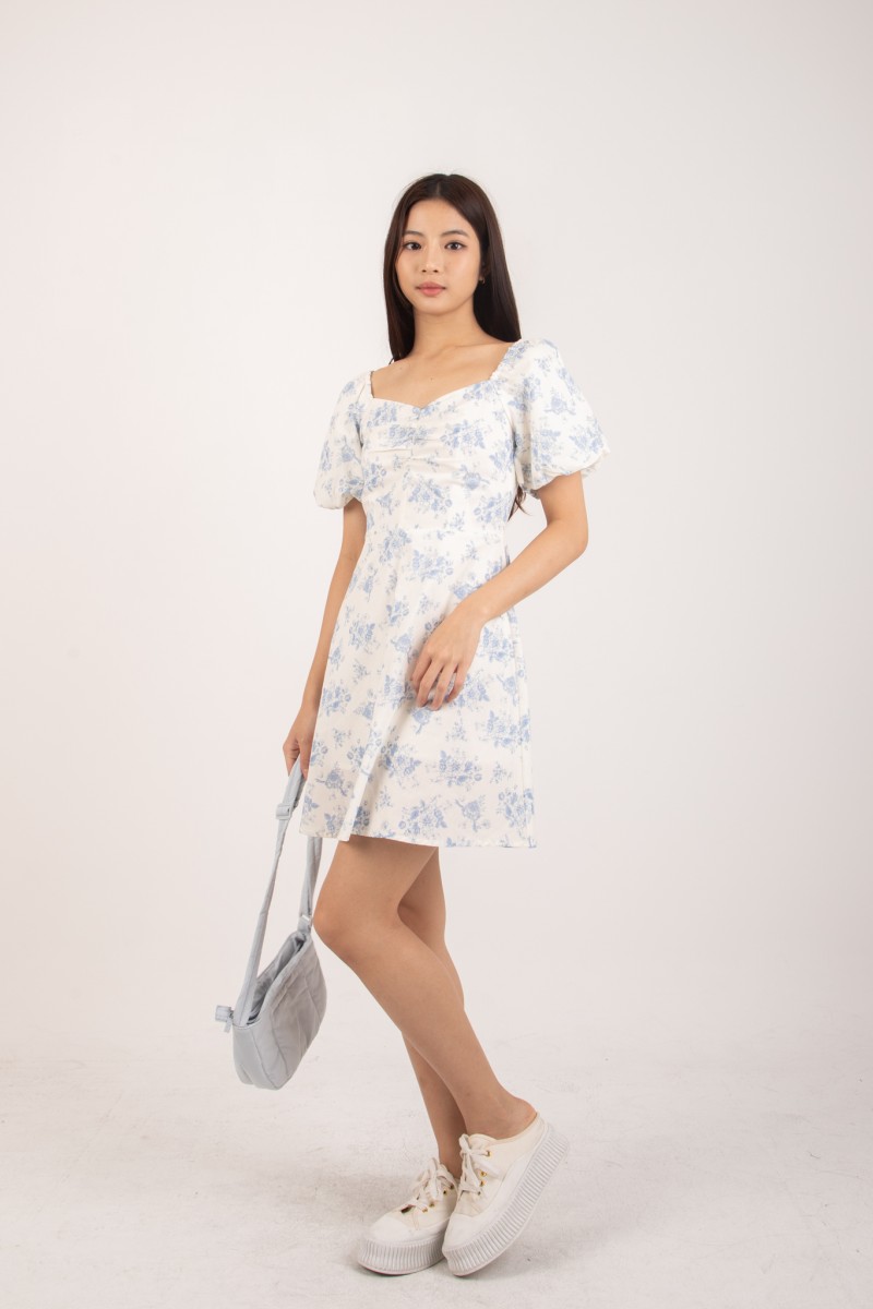 Felicie Floral Sleeved Dress in Blue
