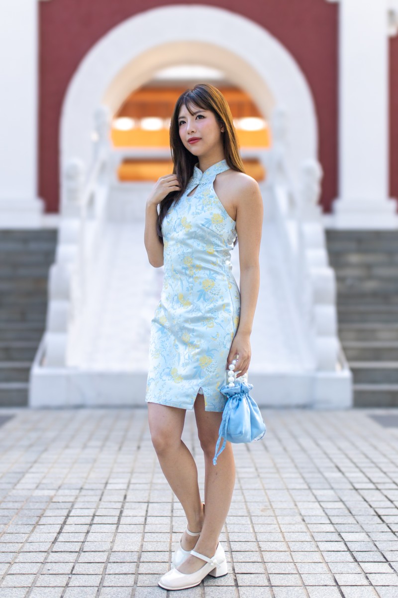 Pegasus Cheongsam Mini Dress in Blue