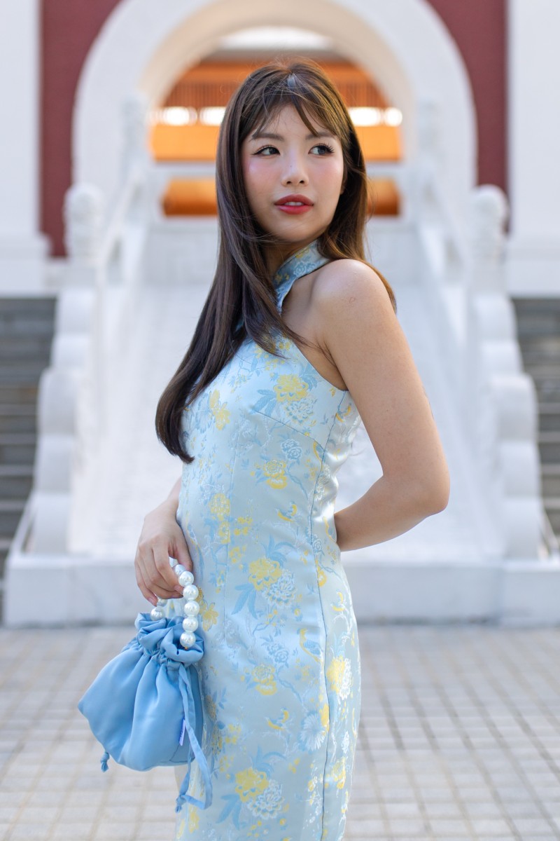 Pegasus Cheongsam Mini Dress in Blue