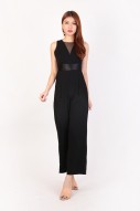Cayleese Mesh Jumpsuit in Black