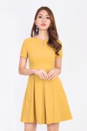 Gwenda Sleeved Dress in Mustard