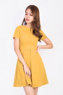 Gwenda Sleeved Dress in Mustard