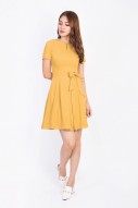 Gwenda Sleeved Dress in Mustard