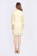 Carly Eyelet Dress in Yellow