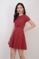 Priscilla Eyelet Dress in Rustic Red