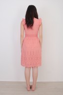 Adina Crochet Dress in Rose