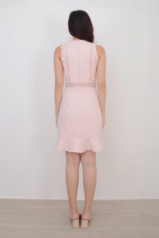 Ruby Embroidered Dress in Pink