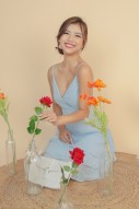 Taisce Swiss Dot Dress Blue