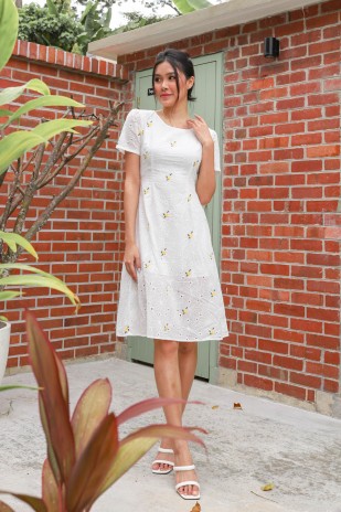 Daicie Embroidered Midi Dress in Yellow