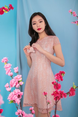 Orville Lace Cheongsam in Pink (MY)